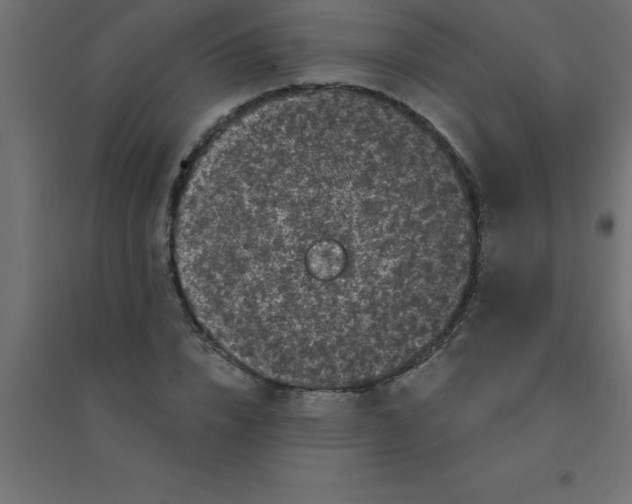 X0000094350832200711241913