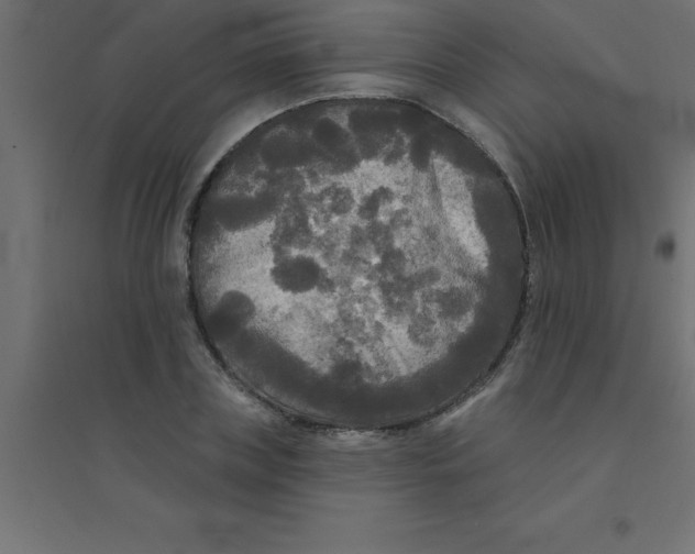 X0000094350835200711241913