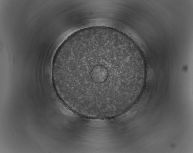 X0000094350836200711241913