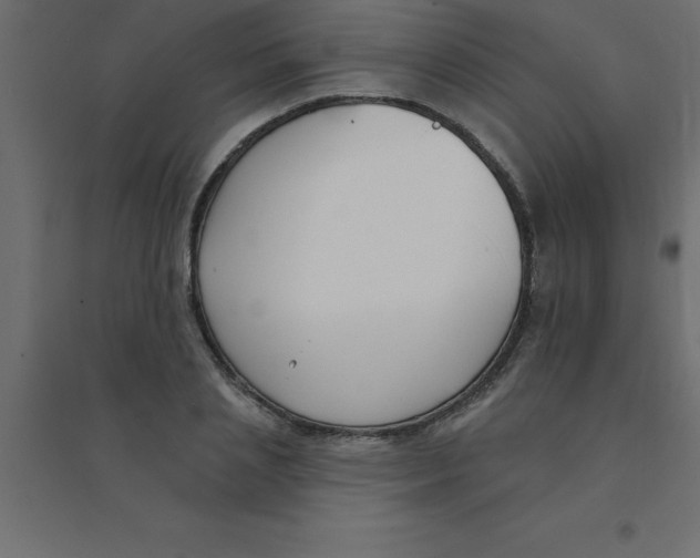 X0000094350837200711241913