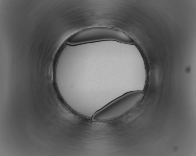 X0000094350838200711241913