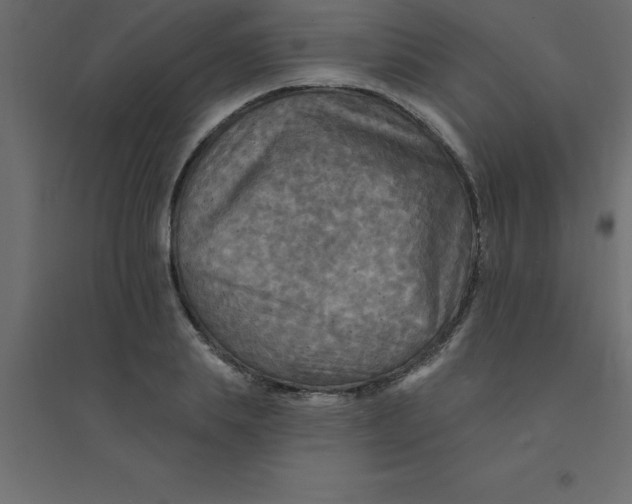 X0000094350839200711241913