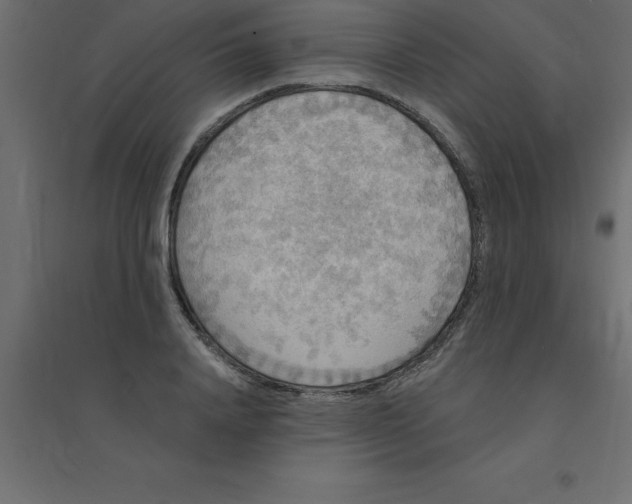 X0000094350840200711241913