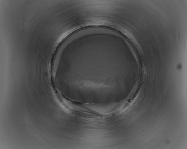 X0000094350842200711241913