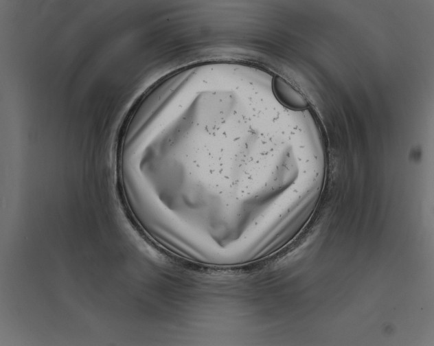 X0000094350843200711241913