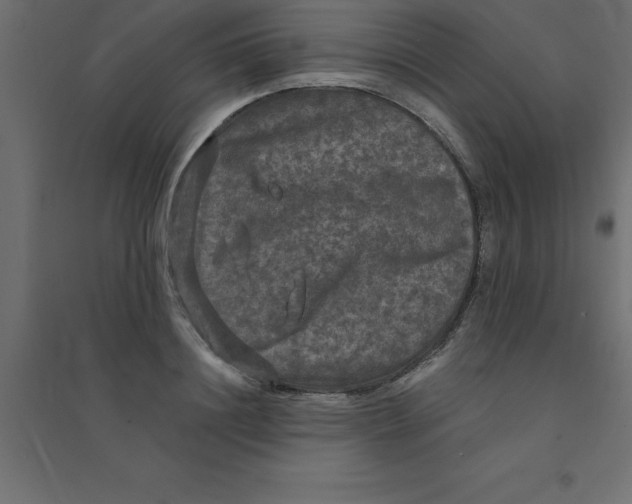 X0000094350844200711241913