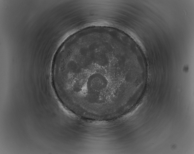 X0000094350845200711241913