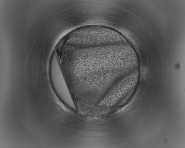 X0000094350846200711241913