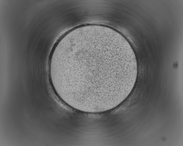 X0000094350848200711241913