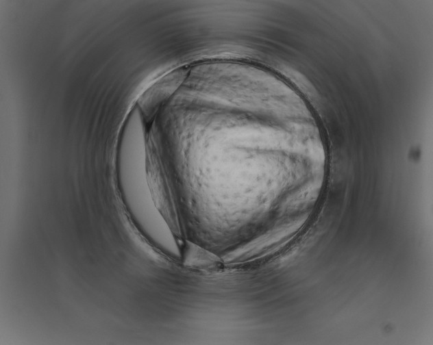 X0000094350850200711241913