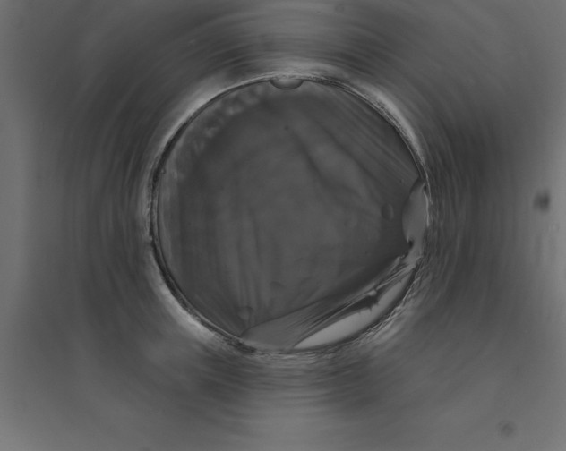 X0000094350851200711241913