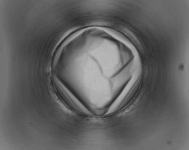 X0000094350852200711241913