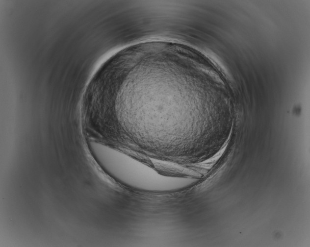 X0000094350854200711241913