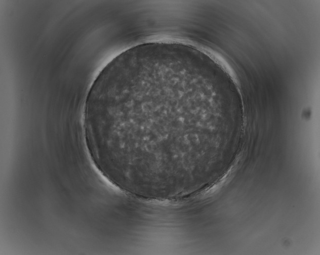 X0000094350855200711241913