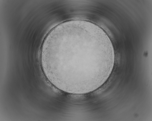 X0000094350856200711241913