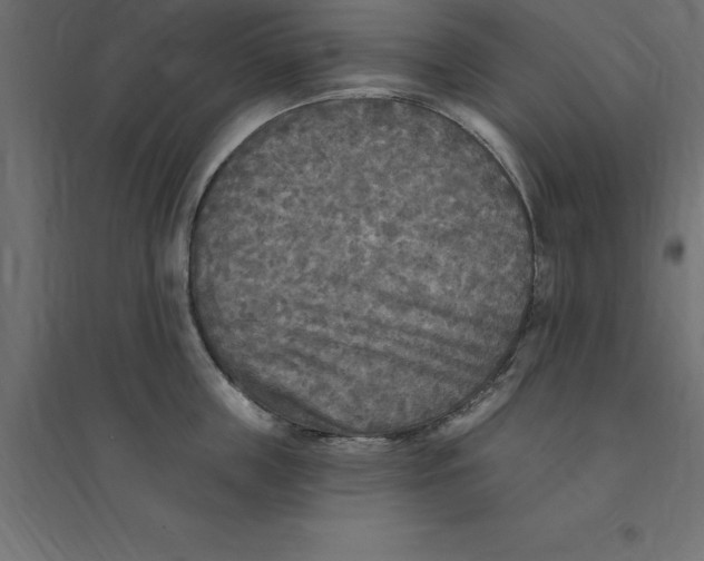 X0000094350859200711241913