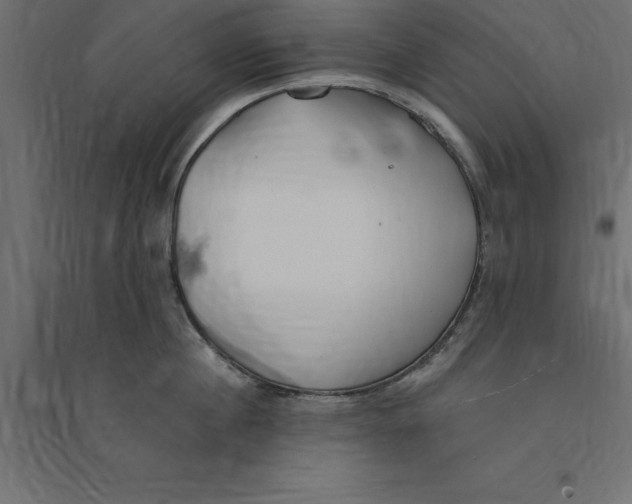 X0000094350860200711241913