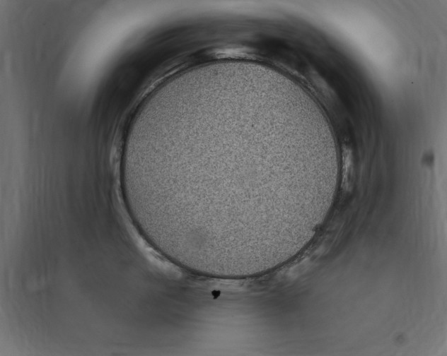 X0000094350861200711241913