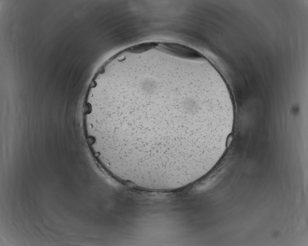 X0000094350862200711241913