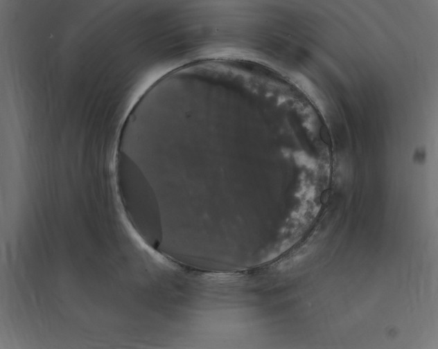 X0000094350863200711241913