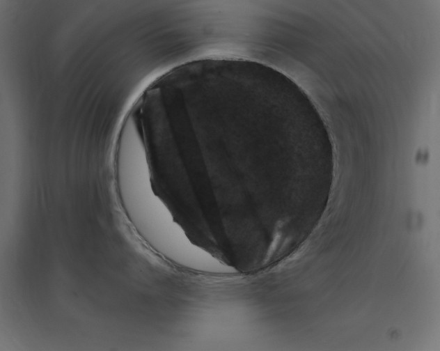 X0000094350864200711241913