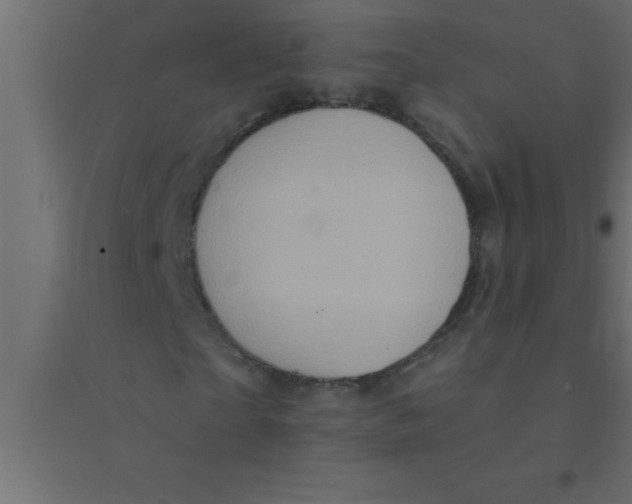 X0000094350865200711241912