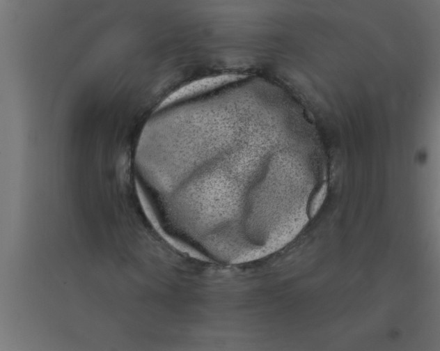 X0000094350866200711241912