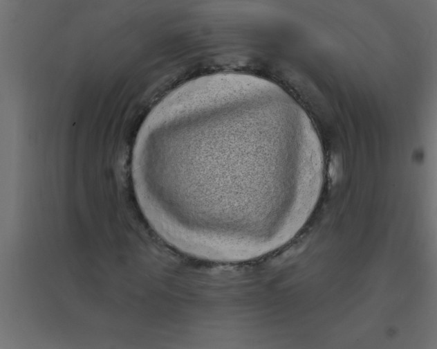 X0000094350867200711241912