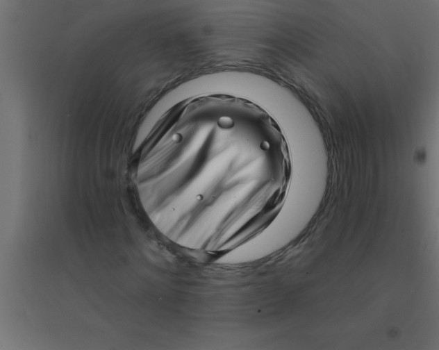 X0000094350868200711241912