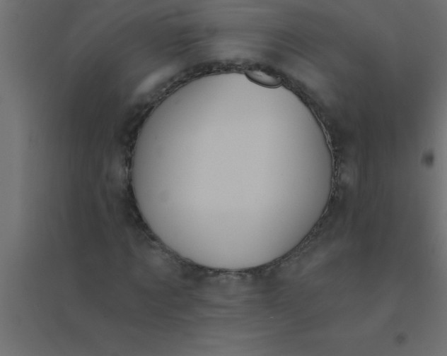 X0000094350869200711241912