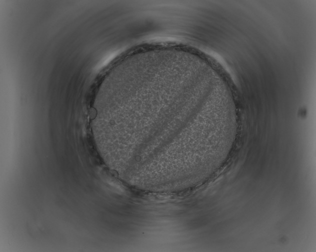 X0000094350871200711241912