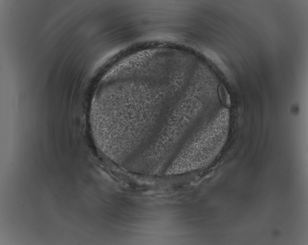 X0000094350872200711241912