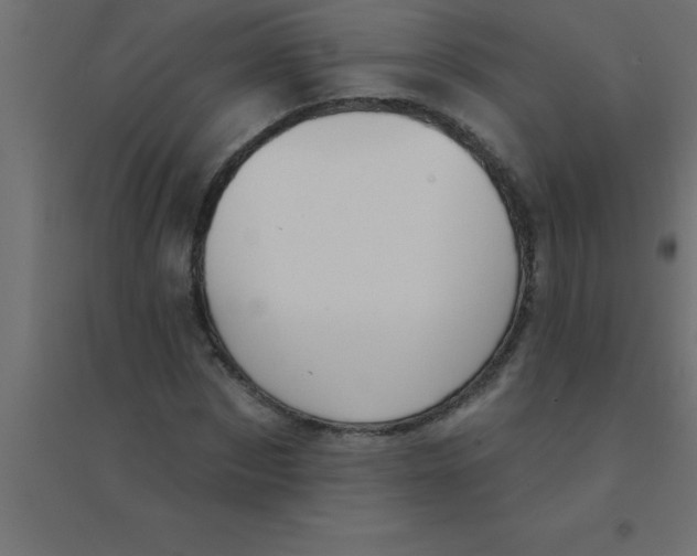 X0000094350873200711241912