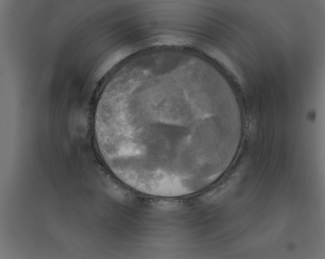 X0000094350874200711241912