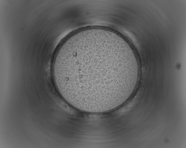 X0000094350875200711241912