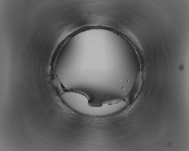 X0000094350876200711241912