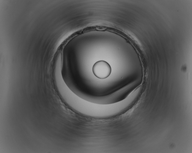 X0000094350877200711241912