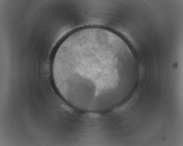 X0000094350878200711241912