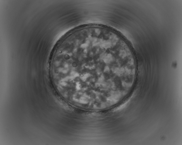 X0000094350879200711241912