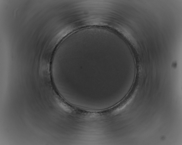 X0000094350881200711241912