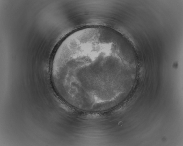 X0000094350882200711241912