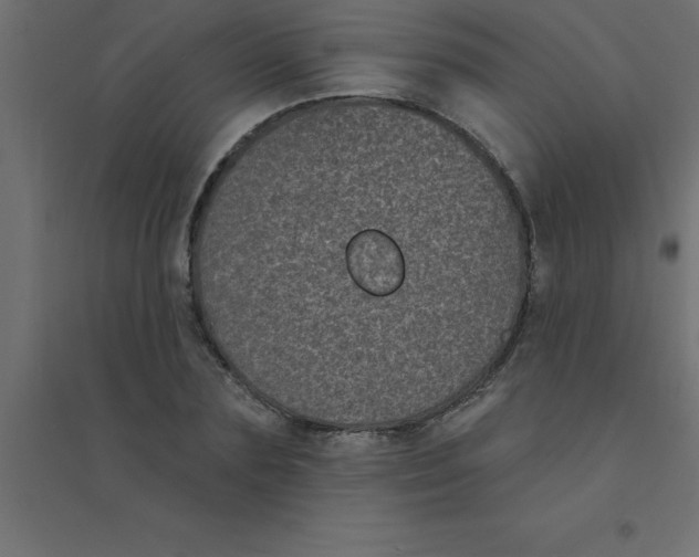 X0000094350883200711241912