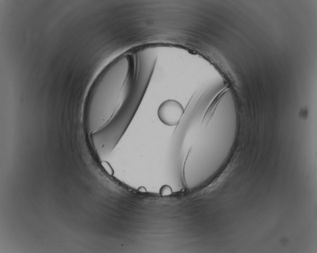 X0000094350884200711241912