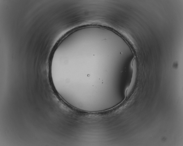 X0000094350888200711241912