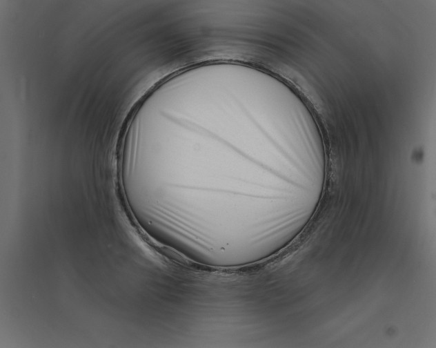 X0000094350890200711241912