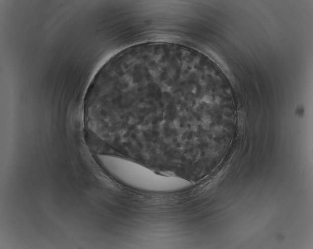 X0000094350891200711241912