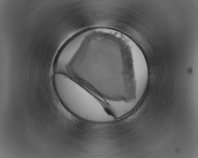 X0000094350892200711241912