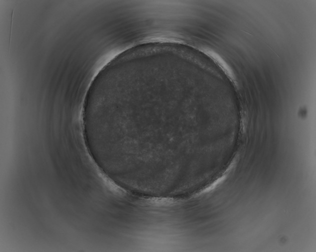 X0000094350893200711241912