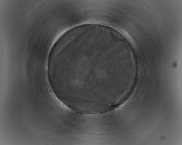 X0000094350896200711241912