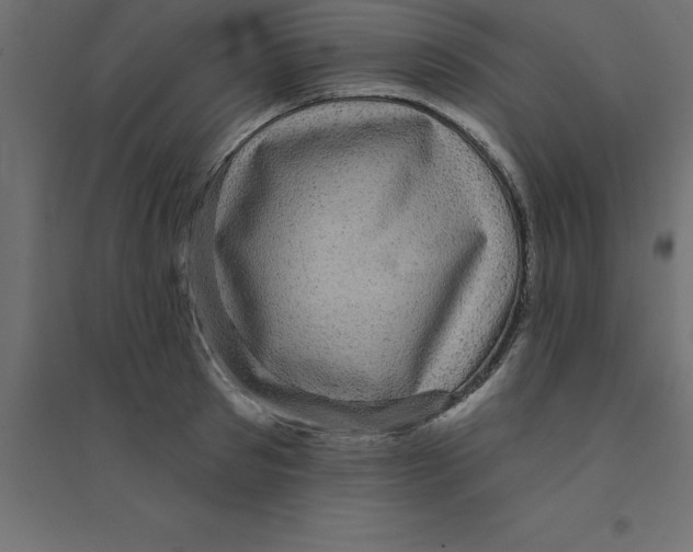 X0000094350897200711241912